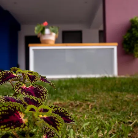 Pagani Blue - Luxury A3 * Kalamata