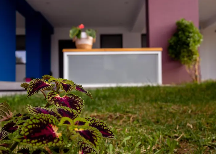 Pagani Blue - Luxury A3 * 卡拉马塔