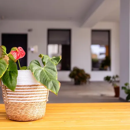 Pagani Blue - Luxury A3 Apartment Kalamata